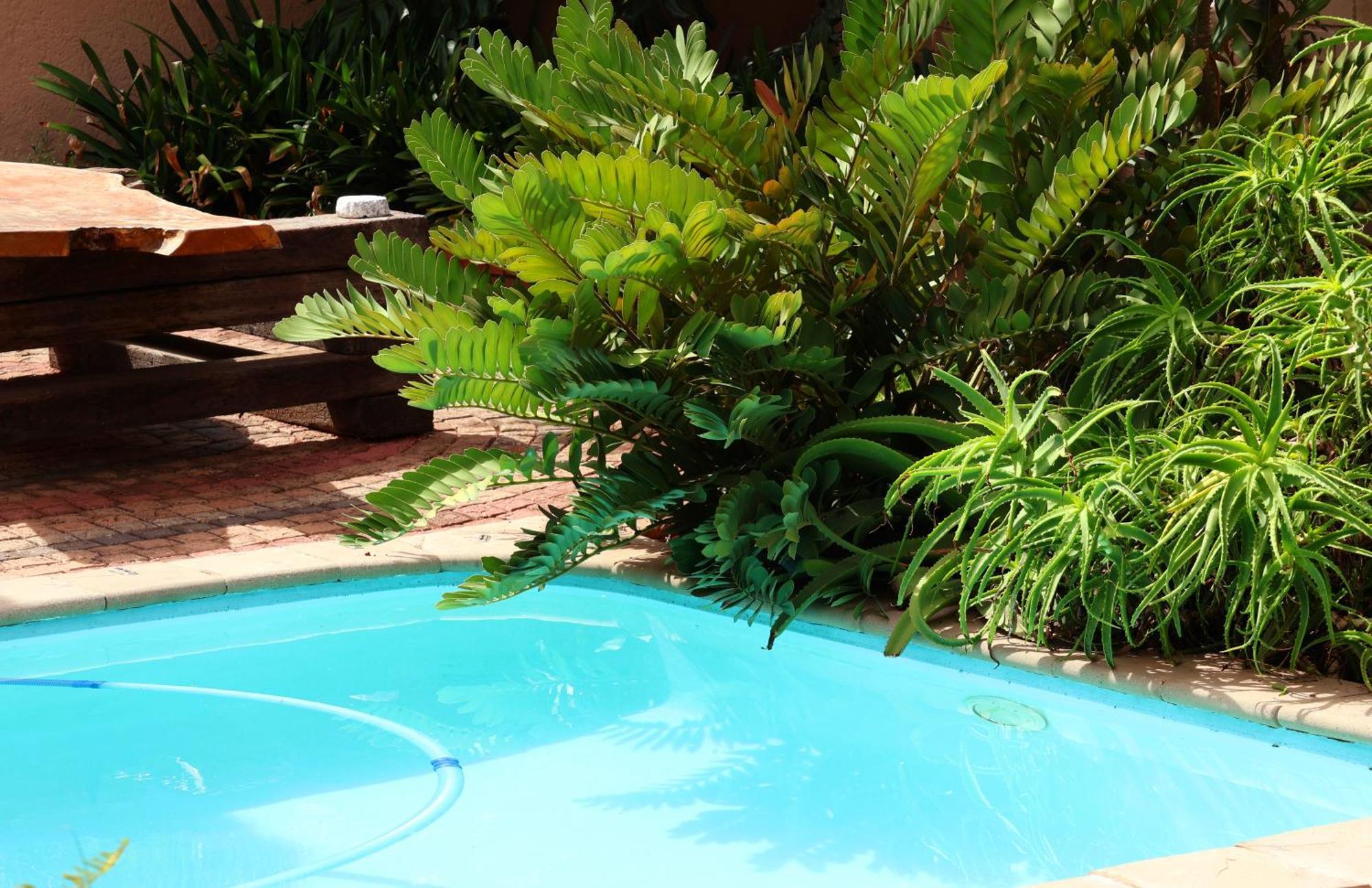 The Leopard Tree Bed & Breakfast Polokwane Eksteriør bilde